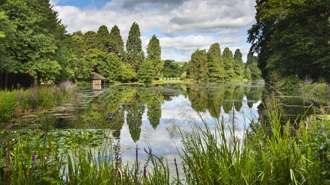 A view from the banks of the Lake at Tredegar House, Newport, looking through foliage and across towards the Boathouse.